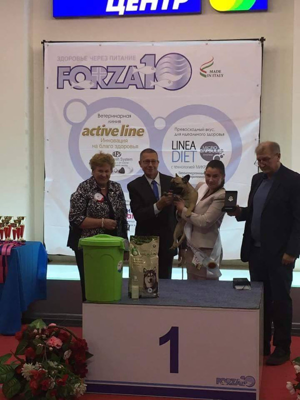 Победители конкурса Бриллиантовый хендлер  Анастасия Кольчугова