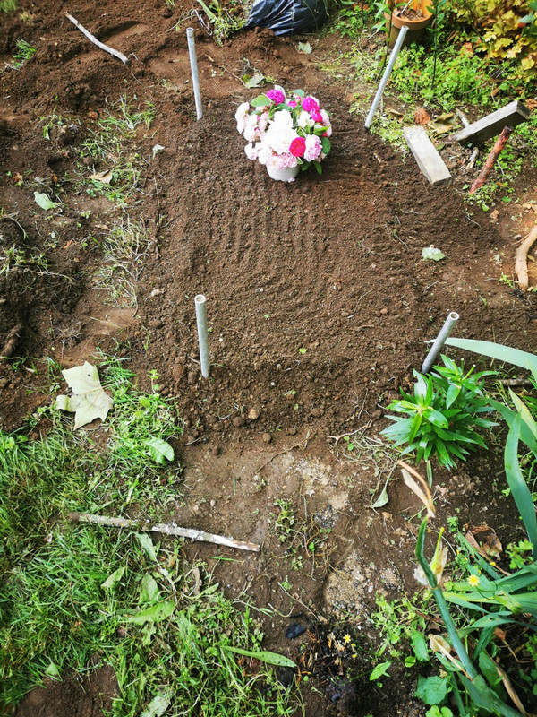 [Image: IMG-20210624-WA0002.jpg]