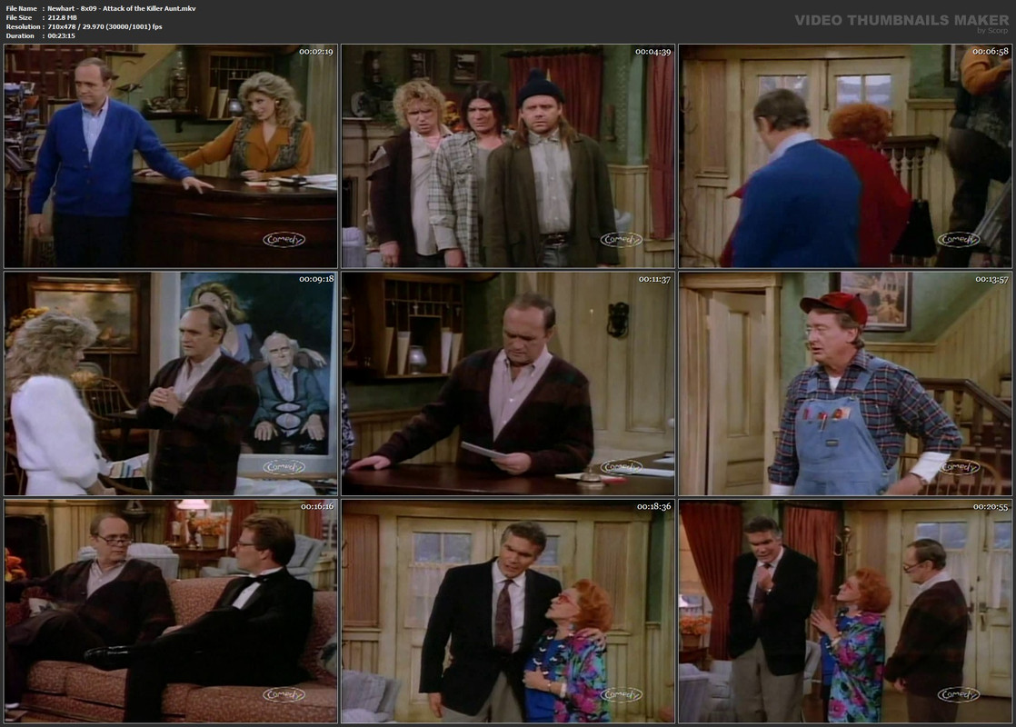 Newhart - 8x09 - Attack of the Killer Aunt.mkv