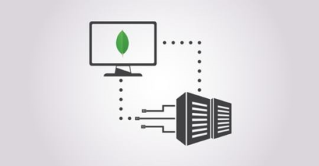 MongoDB 3.2: Professional Developer