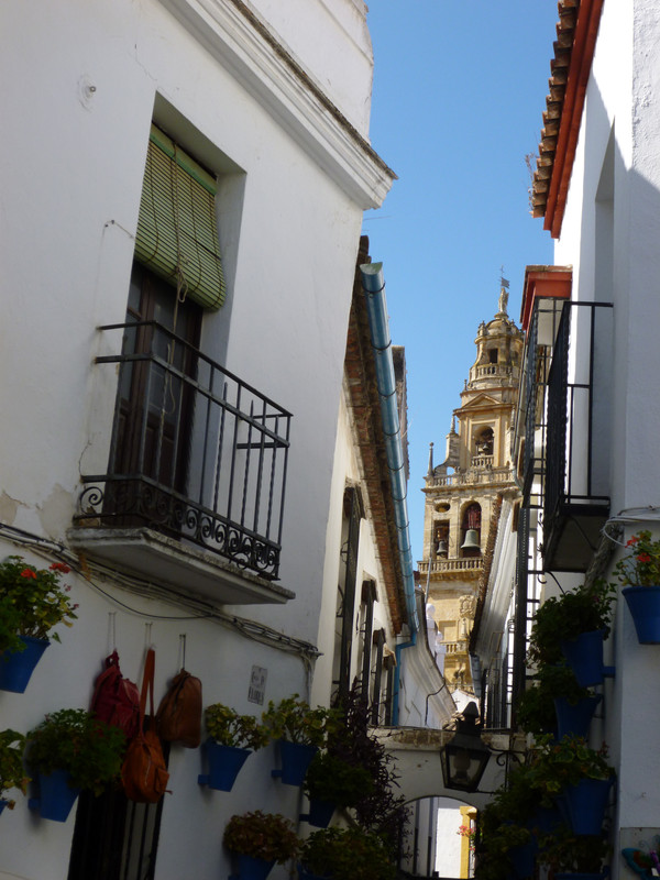 More white walled houses.  These have flower pots hanging outside along the wall.  Again, the Mezquita can be seen in the gap between the houses.