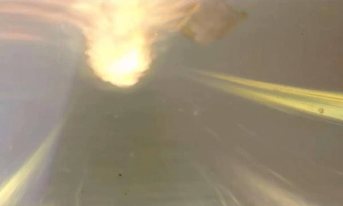 Así fue el impactante retorno a Tierra de cápsula Orión de Artemis I de NASA