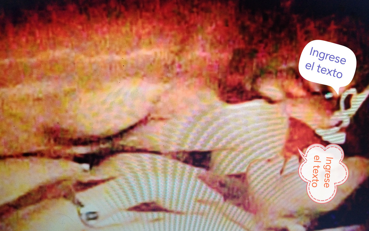 IMG 20260302 072448 edit 17492842563169