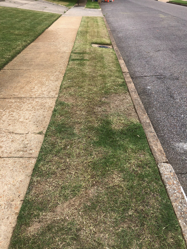 June 12 landing strip