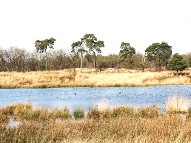 Afbeelding