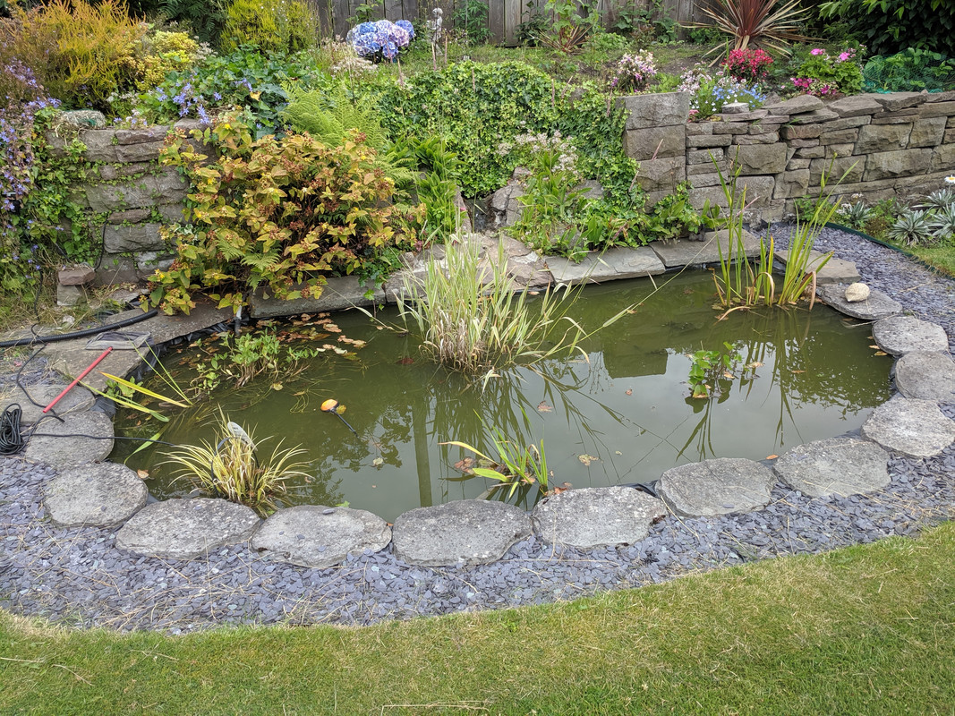 How Ponds Benefit From Prefiltration Fitz's Fish Ponds