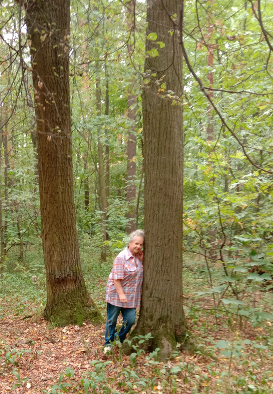 Отдых в лесу 4