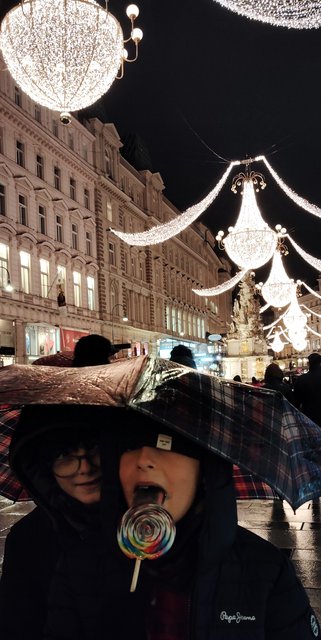 Viena - Bratislava - Praga, Navidad 2024 - Blogs de Europa Central - Mercados Navideños de Viena y Catedral (36)