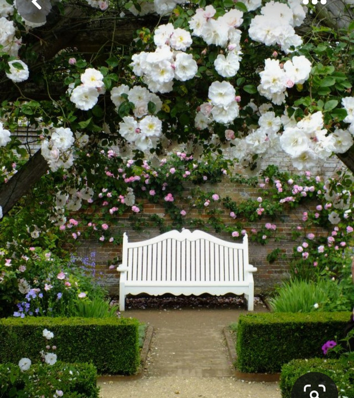 Screenshot_20230703_230155_Pinterest