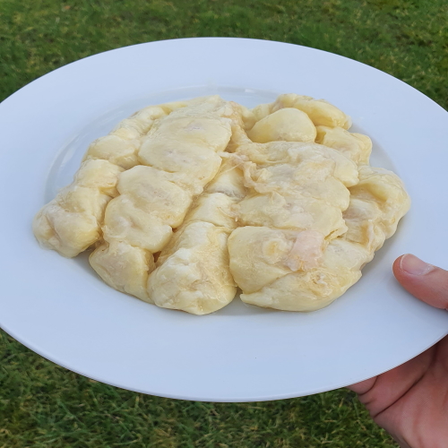 Theobroma-Capuacu-Pulp (1)