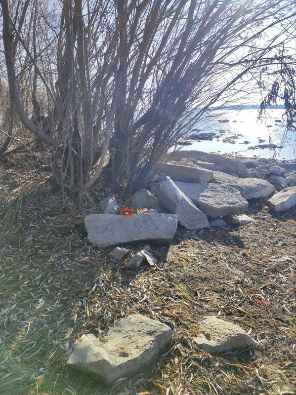 photo 2025 10 28 05 59 36