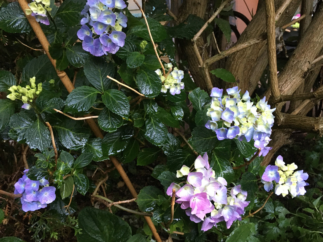 2F7A5282-9380-4042-A02B-3F9DD4312CC8