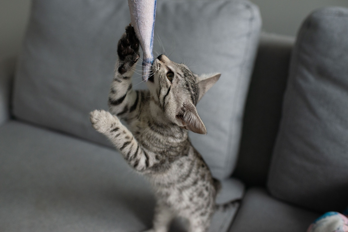 B97C2159-6393-449C-9B89-E060B8D32AE9