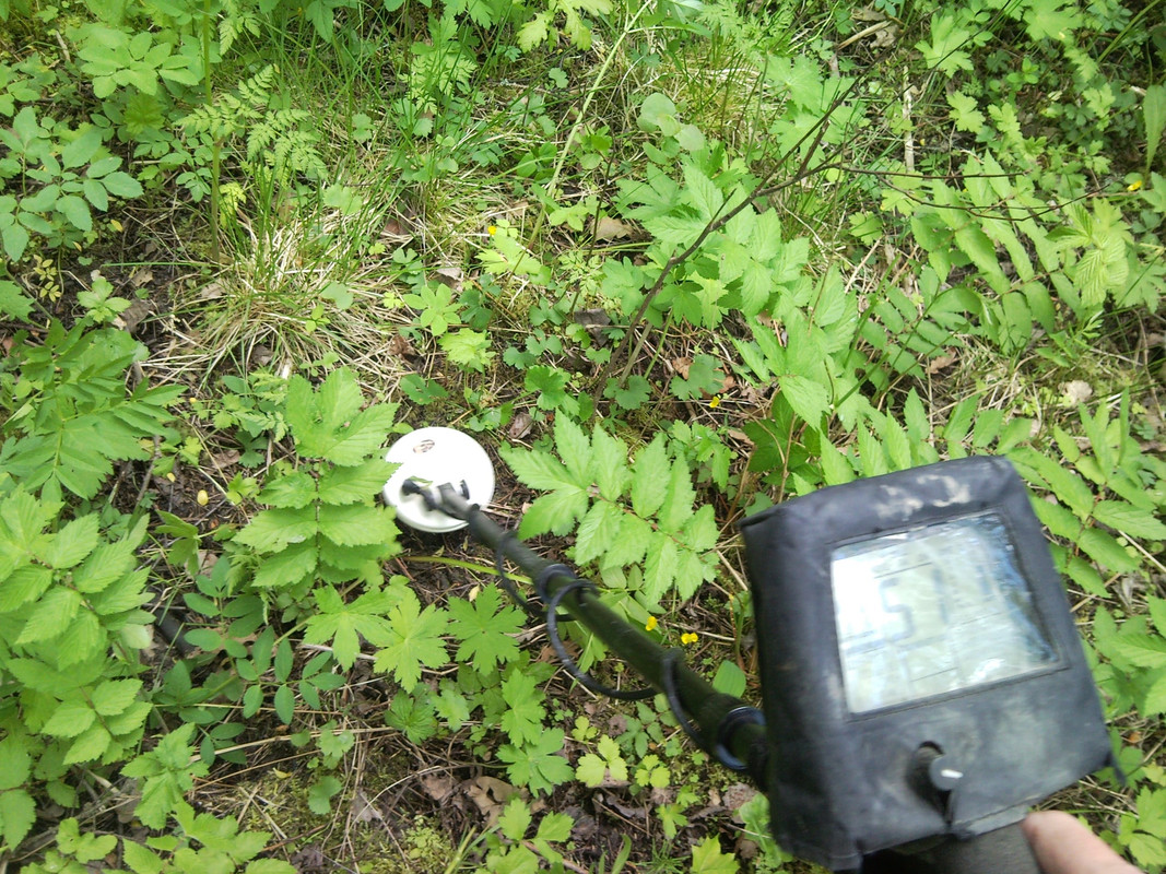 2015-06-07 @12-37-14 - F75, metsäpelto