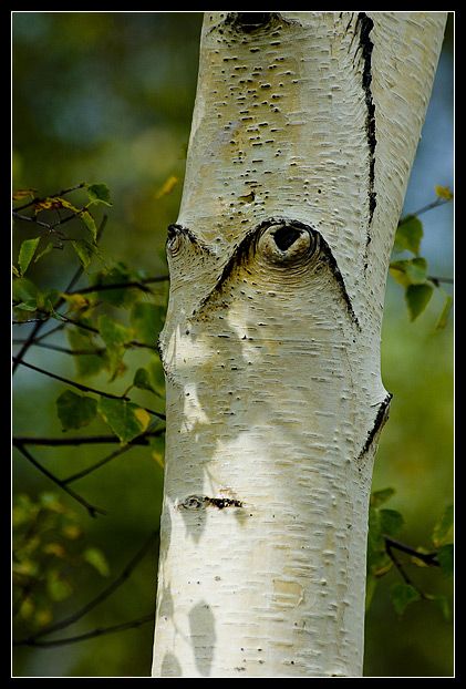 7eeaef8b6c7d5fee8eda0fc6559695cc