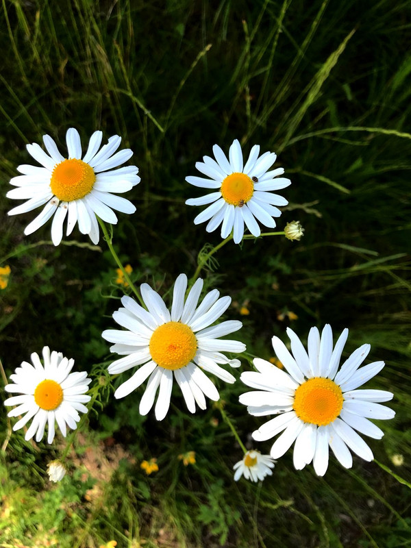 CF9141D8-C1FB-4BAA-9E6D-72B8D0DA603D