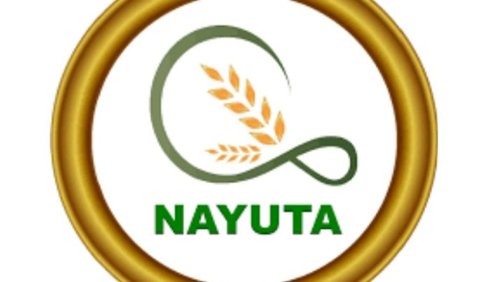 Отзывы и обзор Nayuta: маркетинговая сеть, строящая бизнес на продуктах и услугах по оздоровлению организма человека