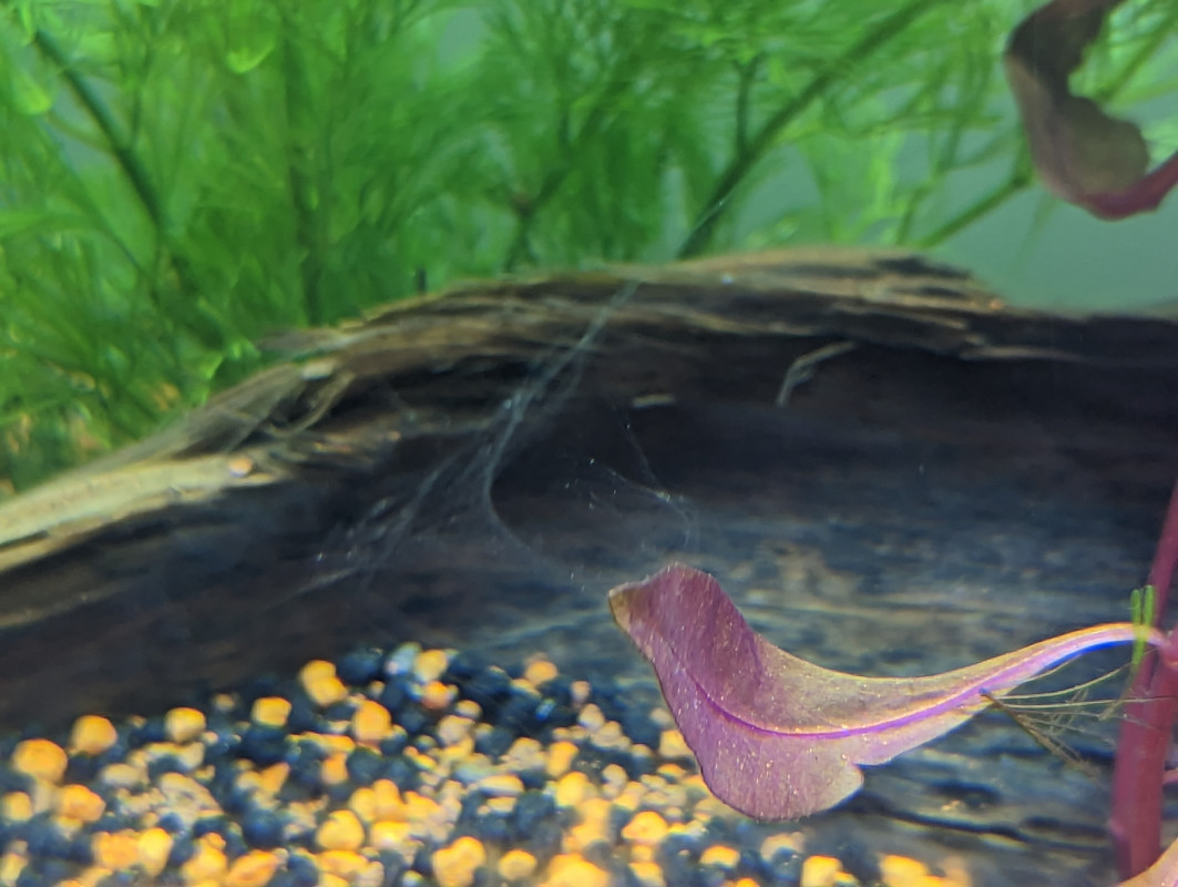 PXL_20230219_082224790