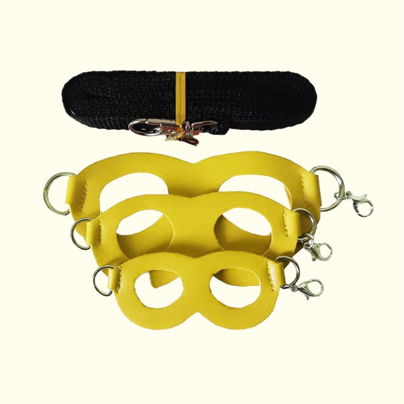 2-Pack yellow Small Mammal Harness Set – 6 Pcs (S/M/L ×2) + 2×1.5m Leashes for Secure Outdoor Handling