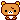 brown bear