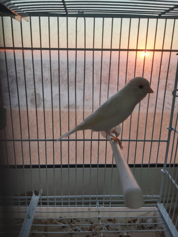 ٢٠٢١٠١١٣_١٧٤٤١٤