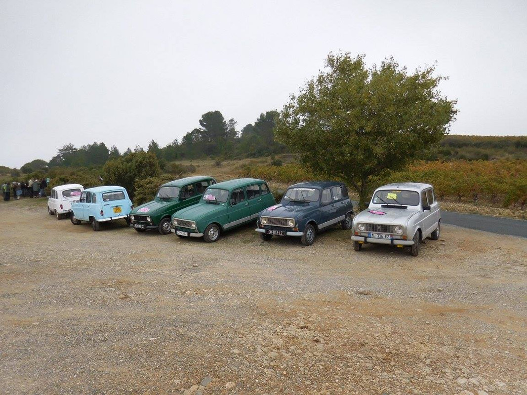 12109757_830946347026457_3283888562791880850_o