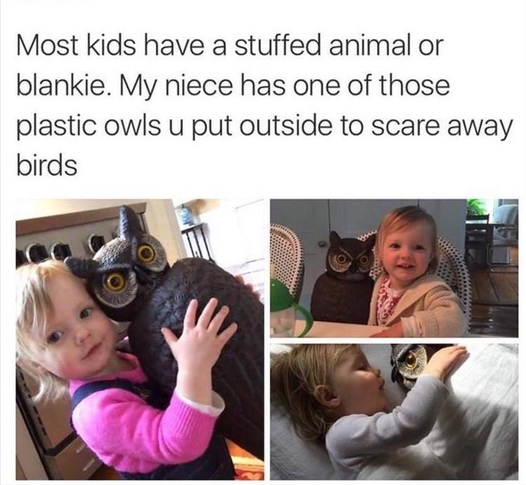 my_neice_has_a_security_plastic_owl.jpg