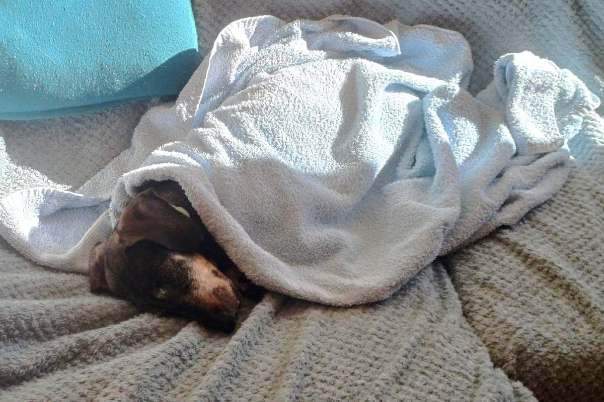 [Image: IMG-20241004-WA0000.jpg]