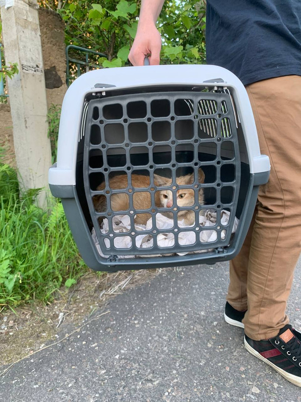 909DFB9F-7F9F-4170-AE9A-0056AA647B59