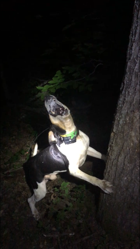 E059A1D1-CA9F-4ECA-9715-A0C9248BD6B3