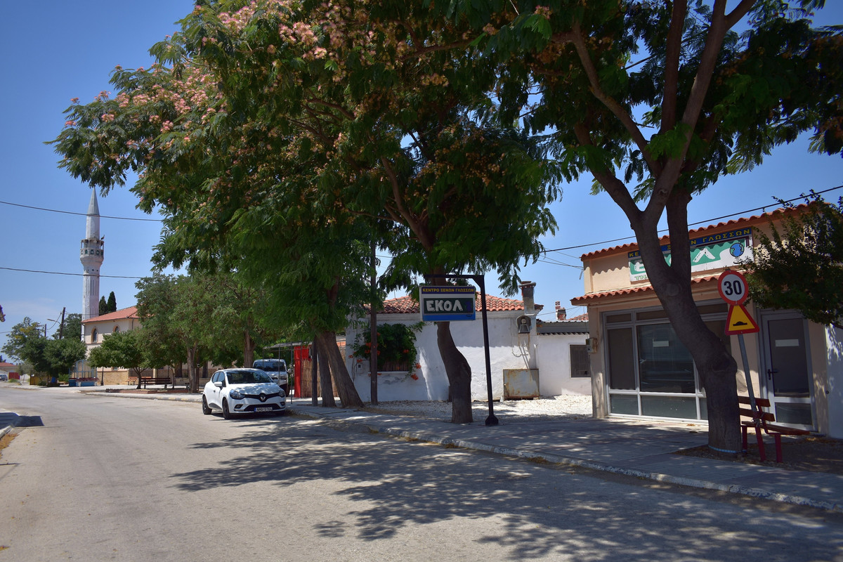 Αμάραντα (3)