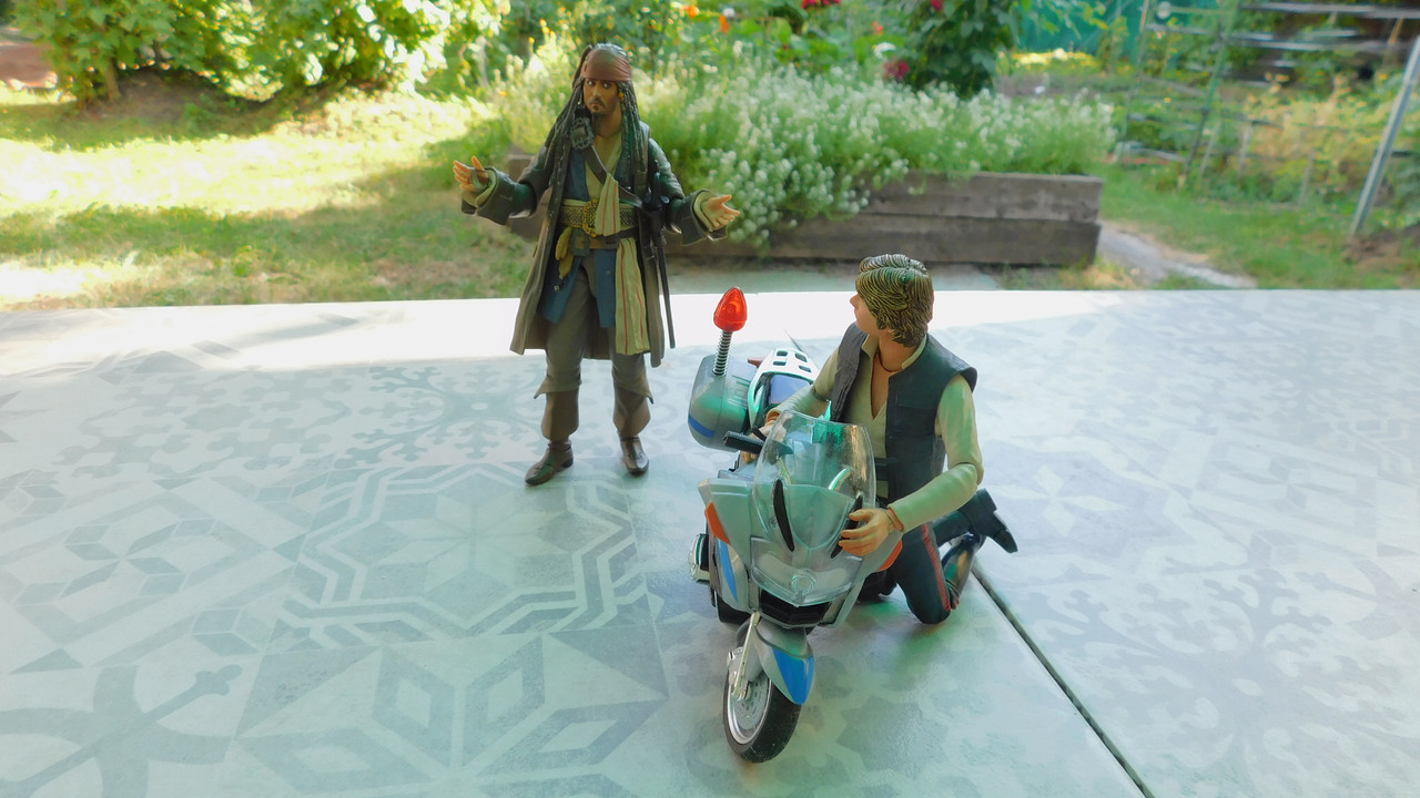 Дачно-Харлинский июнь-июль 2024 171