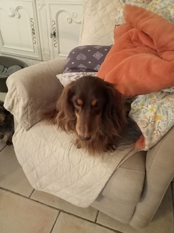 [Image: IMG-20241201-082720.jpg]