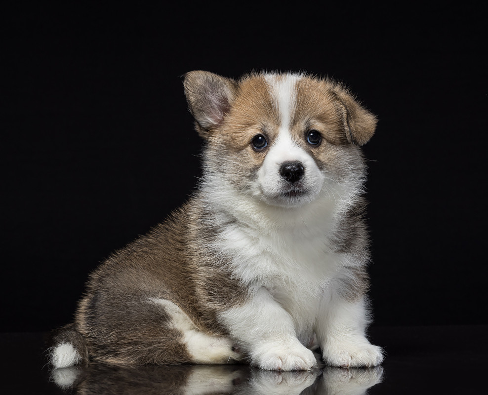 8B629D8A-EC96-4CE4-AEC7-215D27E187D5