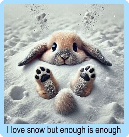 resized-enough-is-enough