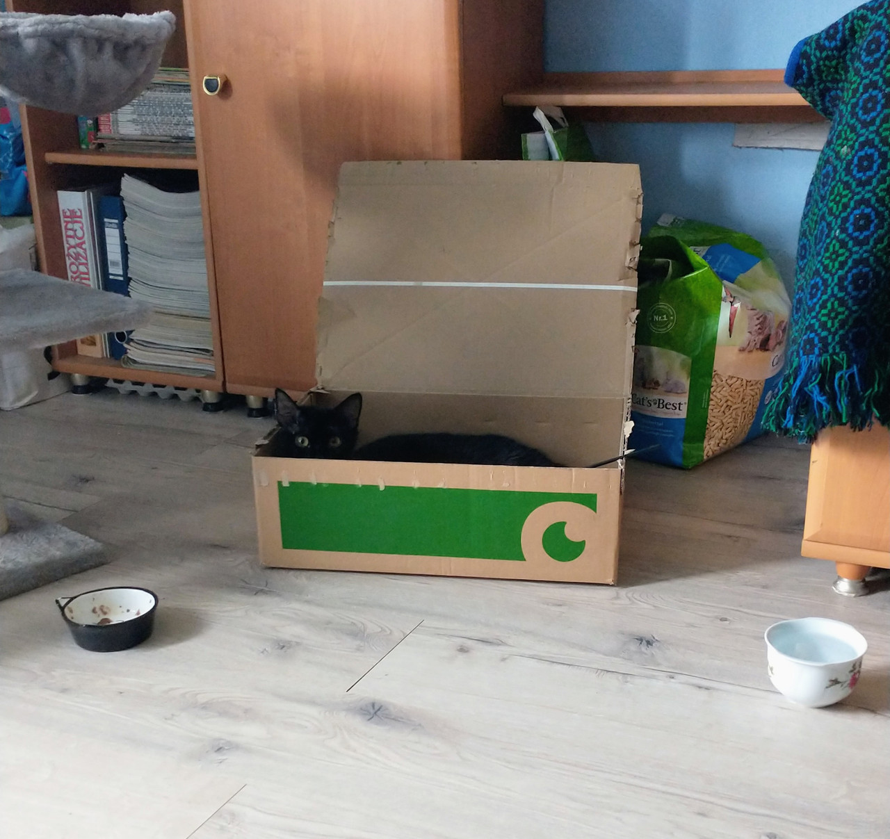 IMG 20260325 141606979 2