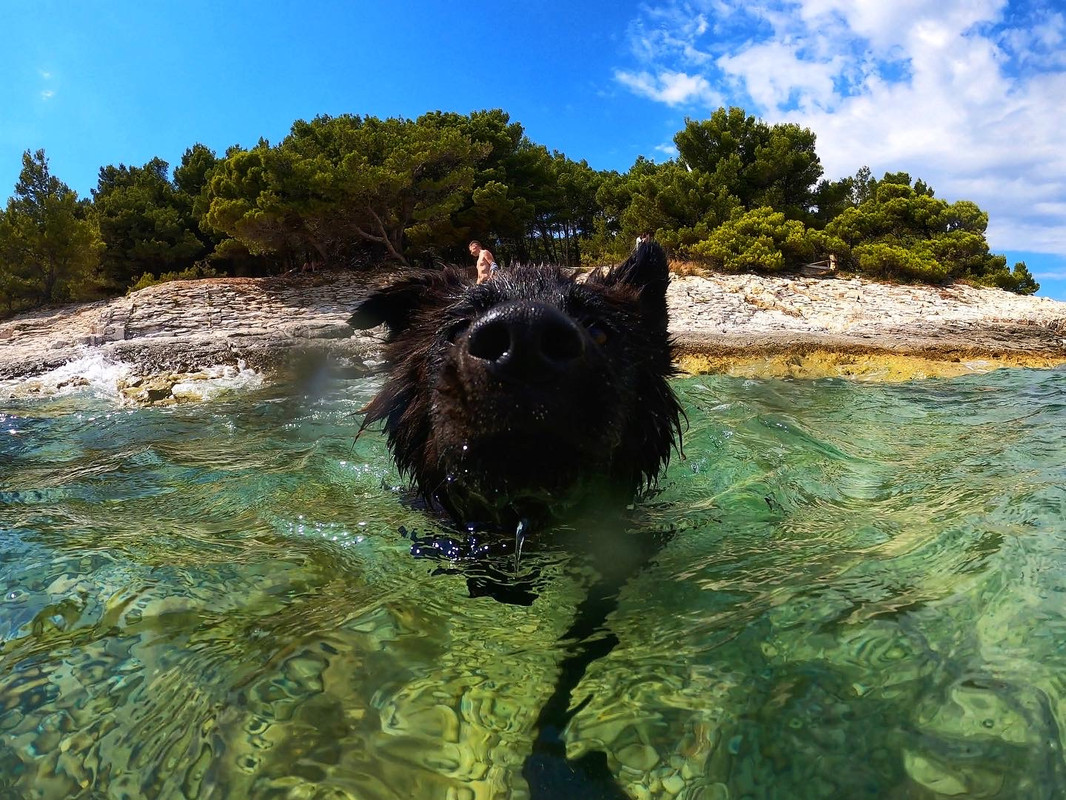 05C36C89-1536-41D0-9F2D-3640BCB0C68A