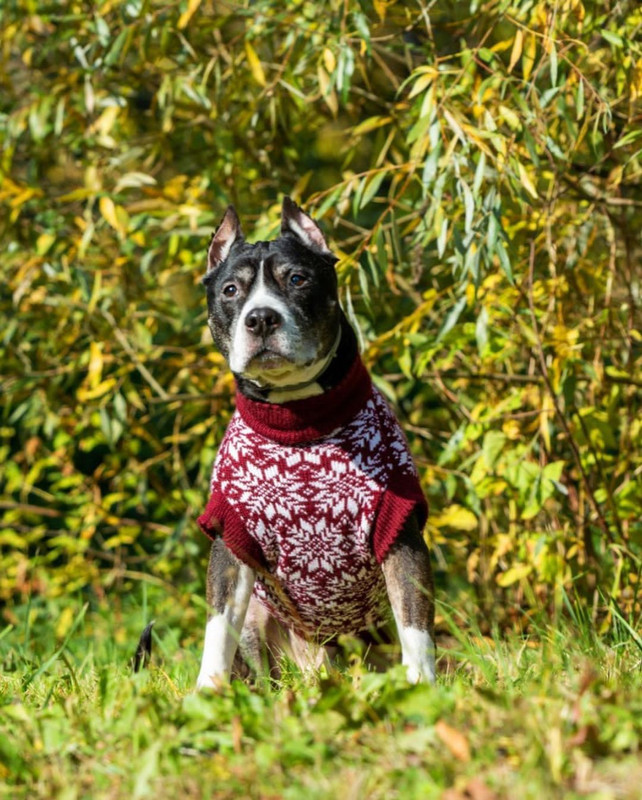 C97D2640-4226-4ADE-AC5B-B739B36DDF5A