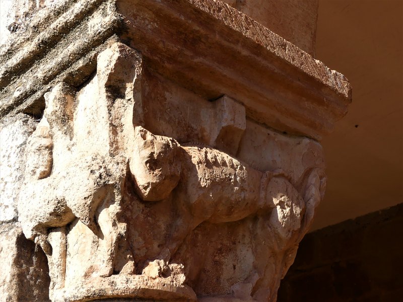 YACIMIENTO ARQUEOLOGICO DE TIERMES-16-2-2020 - Soria y sus pueblos-2010/2013/2020 (17)