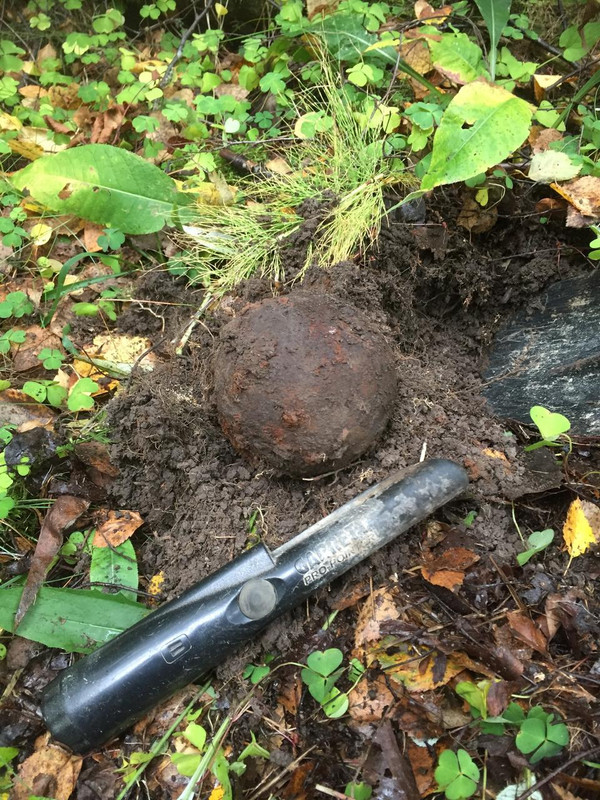 5D6F9A2C-46CD-4452-A8F4-29C65744F1F6