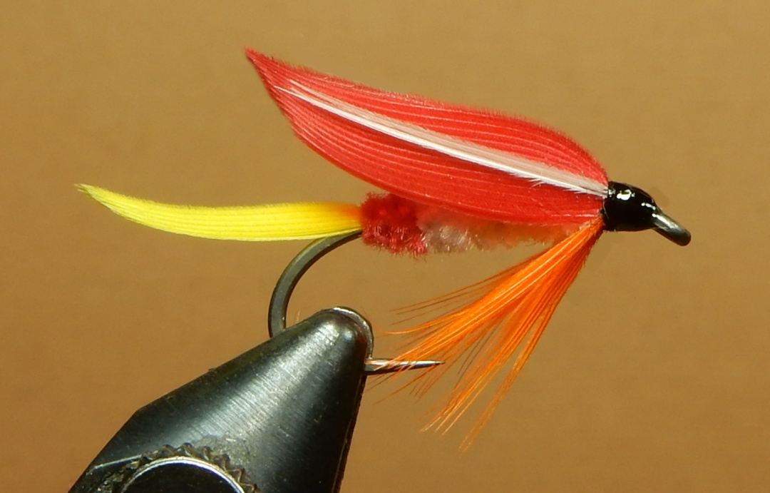 Peajay-1080.jpg