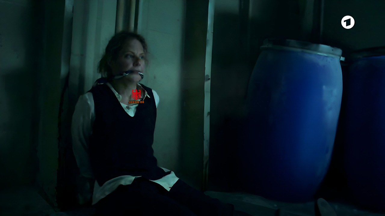 Tessa Mittelstaedt 13 - Morden im Norden S10 (Special)