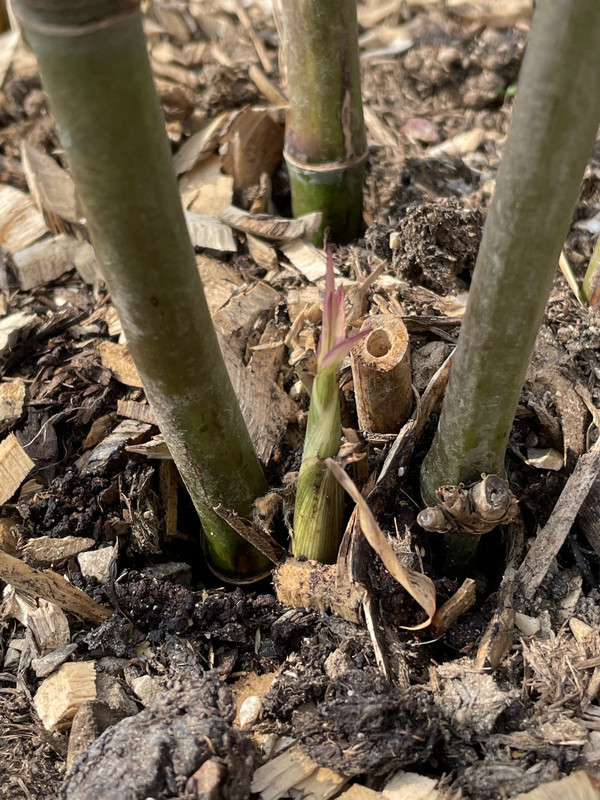 5CE00FFA-118C-4496-A0BB-CB330BD828F4