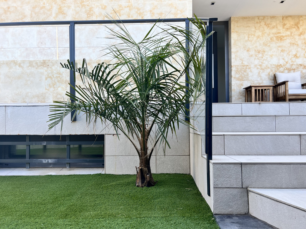 621C16C6-7CDE-43B2-B63A-6383471D79E4