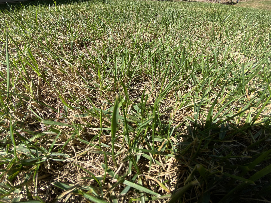 361C18DD-F9BB-4511-B311-9BD8ADD48050