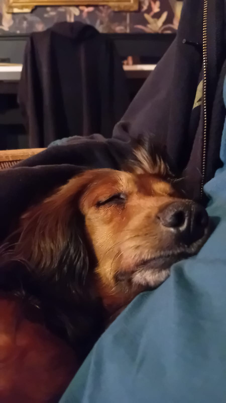 [Image: IMG-20241018-WA0001.jpg]