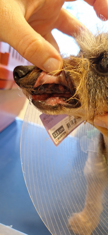 [Image: 20250227-181809.jpg]