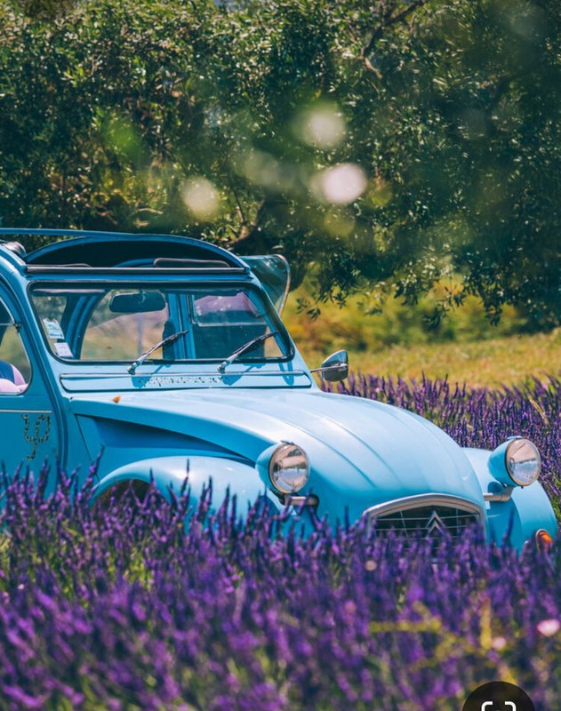 Screenshot_20240405_203944_Pinterest