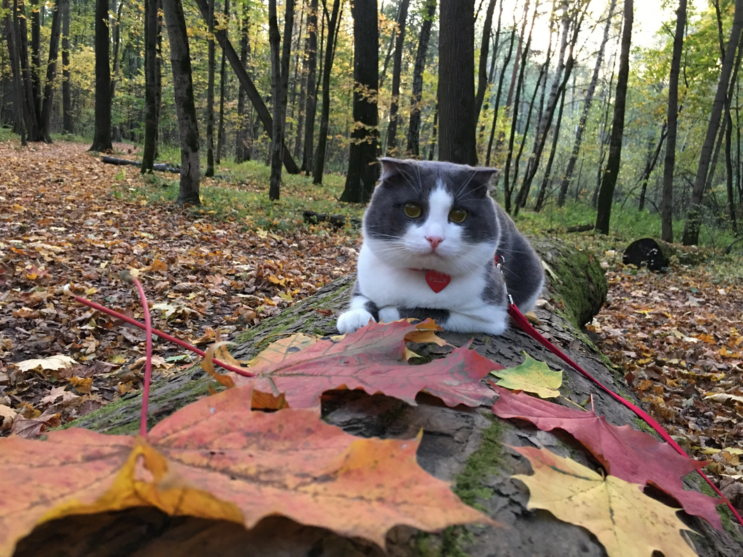 AB8C237B-F530-4097-9F06-CF586686AFB0