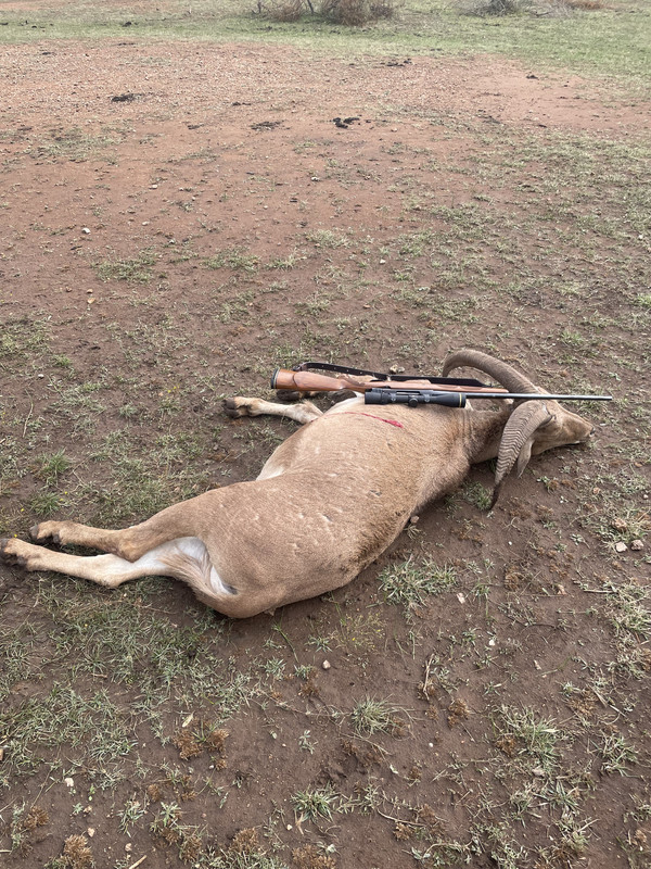 EA6AE8F0-A8A3-4335-BD43-05C542C0A665